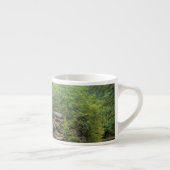 VS, West Virginia, Babcock SP. Rustic Glade Espresso Kop (Rechts)