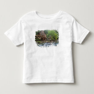 VS, West Virginia, Babcock SP. Rustic Glade Kinder Shirts
