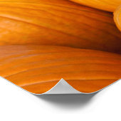 VS, West Virginia, Charleston. Capitool 2 Poster (Hoek)