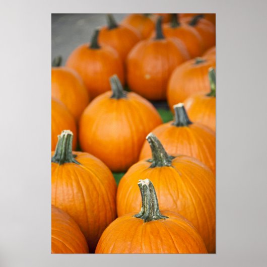 VS, West Virginia, Charleston. Capitool 2 Poster (Voorkant)