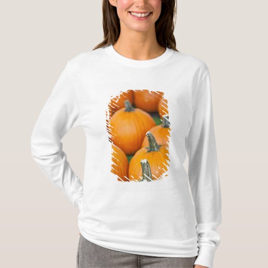 VS, West Virginia, Charleston. Capitool 2 T-shirt (Voorkant)
