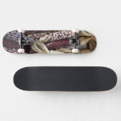 VS, West Virginia, Charleston. Capitool Skateboard (Horizontaal)