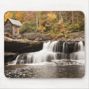 VS, West Virginia, Clifftop. Staat Babcock Muismat