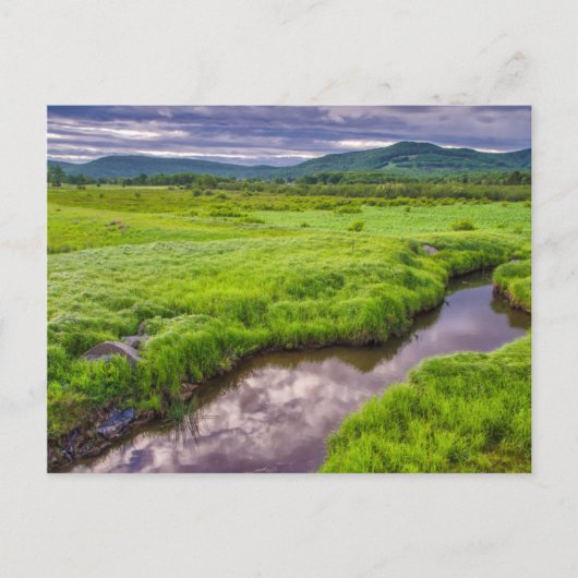 VS, West Virginia, Davis. Landschap 2 Briefkaart (Voorkant)