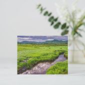 VS, West Virginia, Davis. Landschap 2 Briefkaart (Staand voorkant)