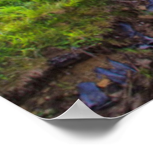 VS, West Virginia, Davis. Landschap 2 Poster (Hoek)