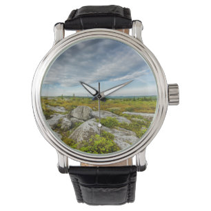 VS, West Virginia, Davis. Landschap in Dolly Horloge