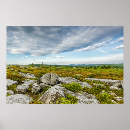 VS, West Virginia, Davis. Landschap in Dolly Poster (Voorkant)