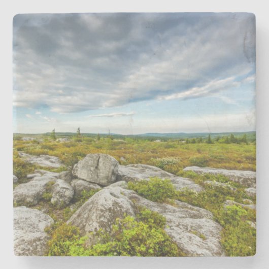 VS, West Virginia, Davis. Landschap in Dolly Stenen Onderzetter (Voorkant)