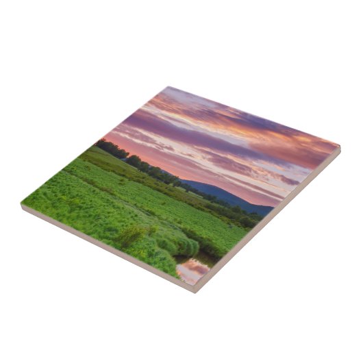 VS, West Virginia, Davis. Landschap Tegeltje (Zijkant)