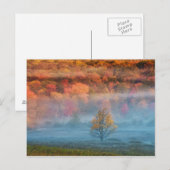 VS, West Virginia, Davis. Misty valley en Briefkaart (Voorkant / Achterkant)