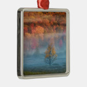 VS, West Virginia, Davis. Misty valley en Metalen Ornament (Rechts)