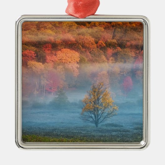 VS, West Virginia, Davis. Misty valley en Metalen Ornament (Voorkant)