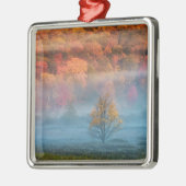 VS, West Virginia, Davis. Misty valley en Metalen Ornament (Links)