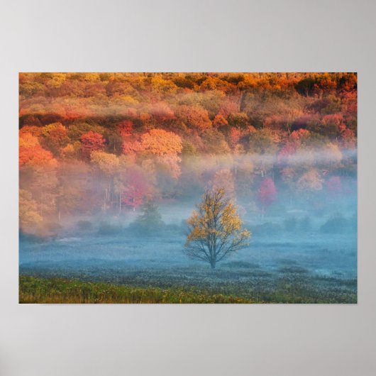 VS, West Virginia, Davis. Misty valley en Poster (Voorkant)