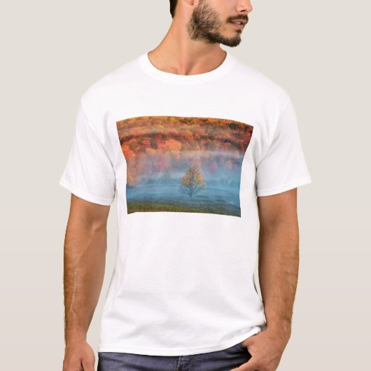 VS, West Virginia, Davis. Misty valley en T-shirt (Voorkant)