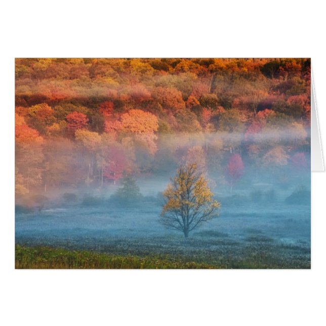 VS, West Virginia, Davis. Nevelige vallei en (Voorkant Horizontaal)