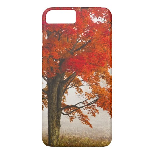 VS, West Virginia, Davis. Rode esdoorn in de herfs Case-Mate iPhone Case (Achterkant)