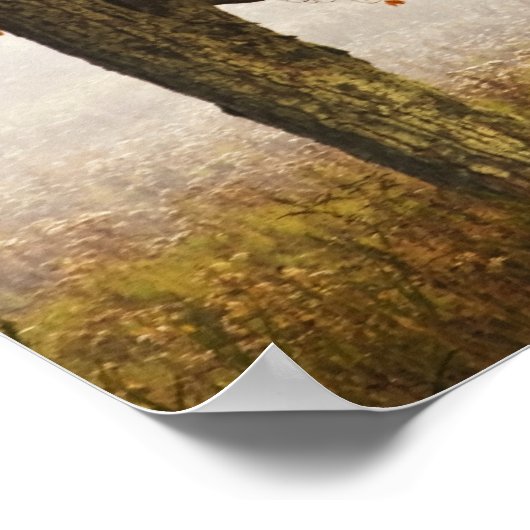 VS, West Virginia, Davis. Roodespel in herfst Poster (Hoek)