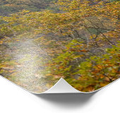 VS, West Virginia, Fayetteville. Nieuwe rivier Foto Afdruk (Hoek)