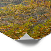 VS, West Virginia, Fayetteville. Nieuwe rivier Poster (Hoek)