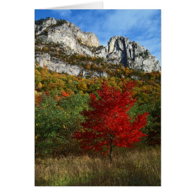 VS, West Virginia, Spruce Knob-Seneca Rocks (Voorkant)