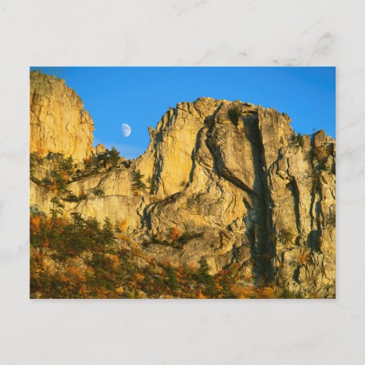 VS, West Virginia, Spruce Knob-Seneca Rocks 2 Briefkaart (Voorkant)