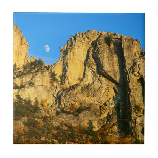 VS, West Virginia, Spruce Knob-Seneca Rocks 2 Tegeltje (Voorkant)