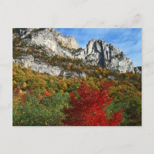 VS, West Virginia, Spruce Knob-Seneca Rocks Briefkaart (Voorkant)