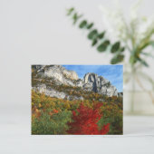 VS, West Virginia, Spruce Knob-Seneca Rocks Briefkaart (Staand voorkant)