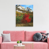 VS, West Virginia, Spruce Knob-Seneca Rocks Canvas Afdruk (Insitu (Woonkamer))