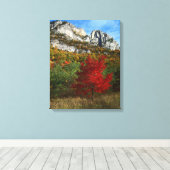 VS, West Virginia, Spruce Knob-Seneca Rocks Canvas Afdruk (Insitu (Houten vloer))