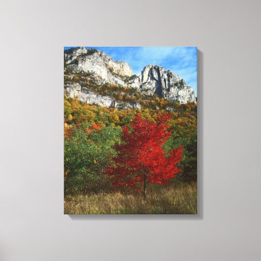 VS, West Virginia, Spruce Knob-Seneca Rocks Canvas Afdruk (Voorkant)