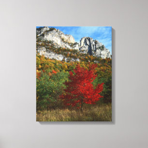 VS, West Virginia, Spruce Knob-Seneca Rocks Canvas Afdruk