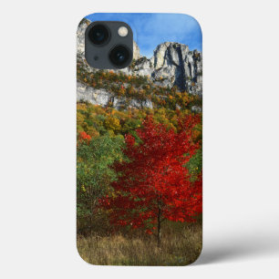 VS, West Virginia, Spruce Knob-Seneca Rocks iPhone 13 Hoesje