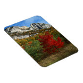VS, West Virginia, Spruce Knob-Seneca Rocks Magneet (Rechterzijde)