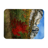 VS, West Virginia, Spruce Knob-Seneca Rocks Magneet (Horizontaal)