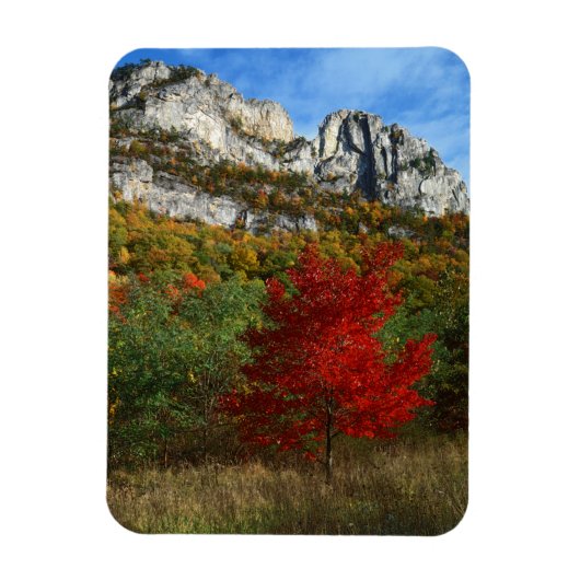 VS, West Virginia, Spruce Knob-Seneca Rocks Magneet (Verticaal)