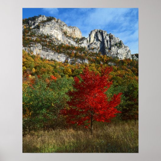 VS, West Virginia, Spruce Knob-Seneca Rocks Poster (Voorkant)