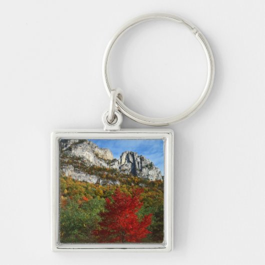 VS, West Virginia, Spruce Knob-Seneca Rocks Sleutelhanger (Voorkant)