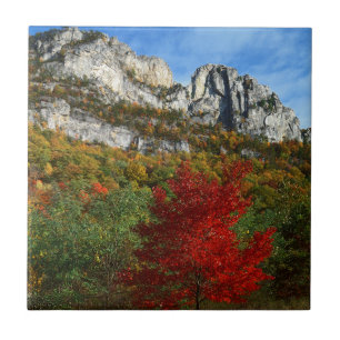VS, West Virginia, Spruce Knob-Seneca Rocks Tegeltje