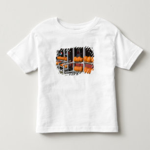 VS, WISCONSIN, Washburn: Oever Lake Superior, Kinder Shirts