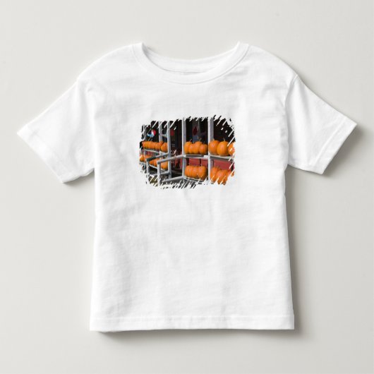 VS, WISCONSIN, Washburn: Oever Lake Superior, Kinder Shirts (Voorkant)