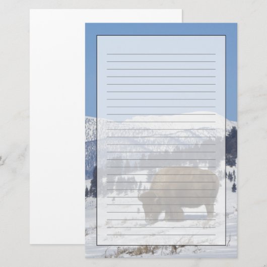 VS, WY, Yellowstone NP, American Bison Bison Briefpapier (Voorkant / Achterkant)