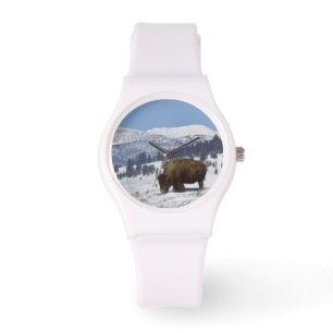VS, WY, Yellowstone NP, American Bison Bison Horloge