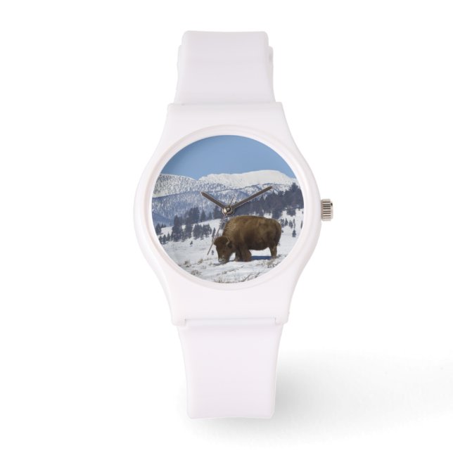 VS, WY, Yellowstone NP, American Bison Bison Horloge (Voorkant)