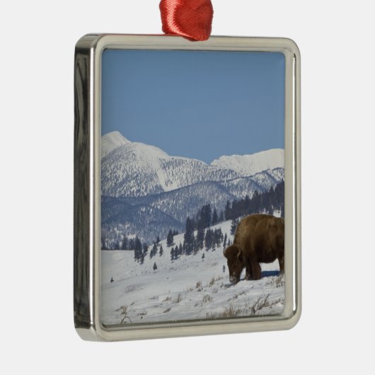 VS, WY, Yellowstone NP, American Bison Bison Metalen Ornament (Rechts)