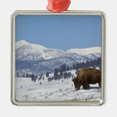 VS, WY, Yellowstone NP, American Bison Bison Metalen Ornament (Voorkant)