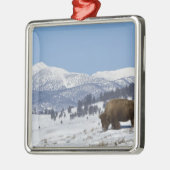 VS, WY, Yellowstone NP, American Bison Bison Metalen Ornament (Links)