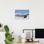 VS, WY, Yellowstone NP, American Bison Bison Poster (Thuiskantoor)